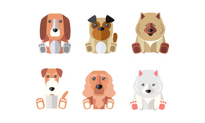 Collection of dogs of different breeds, cartoon animals pets vector Illustration on a white background