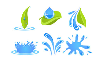 Green leaves, water drops and splashes, ecology concept vector Illustration on a white background