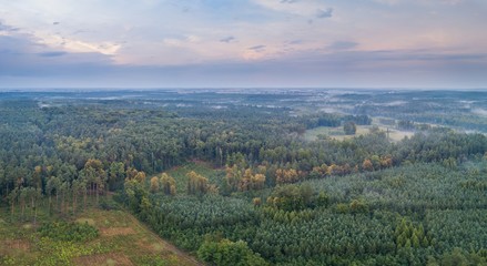 Beautiful foggy polish landscape photographed from drone