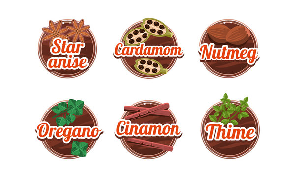 Herbs and spices kitchen badges set, star anice, cardamom, nutmeg, oregano, cinamon, thime labels vector Illustration on a white background