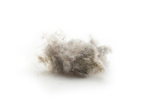 Dust Ball Images – Browse 21,032 Stock Photos, Vectors, and Video | Adobe  Stock