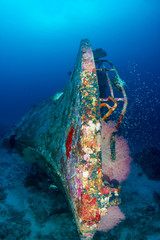 A coral encrusted underwater shipwreck in the Similan Islands