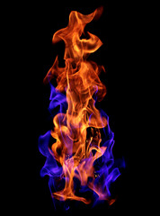 Red and blue fire flames on black background - 230962370