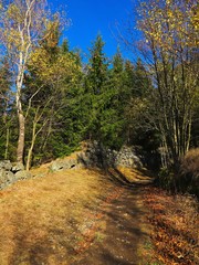 wanderweg auf dem pöhlberg