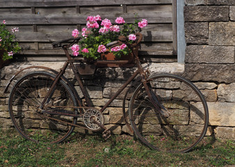 Altes Fahrrad mit Blumenständer
