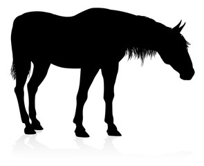 A high quality very detailed horse in silhouette