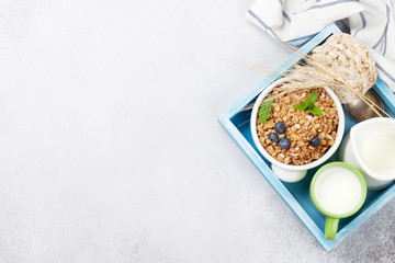 Healthy breakfast set with muesli, berries and milk