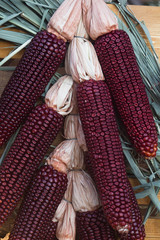 Organic corn in a village market