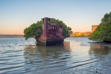 Sunrise at the SS Ayefield, Homebush Bay, Australia. Shipwreck in Sydney Harbour.