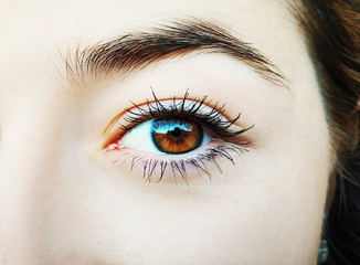 Fototapeta premium A beautiful insightful look woman's eye. Close up shot.