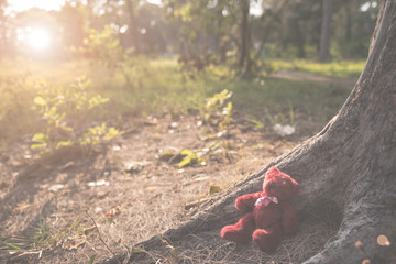 teddy bear has left lonely beside big tree in garden with tone