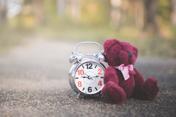 teddy bear sit back retro alarm clock on concete road in garden with tone