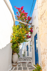 Fototapeta premium Greek street with summer flowers in Chora. Serifos island. Cyclades, Greece.