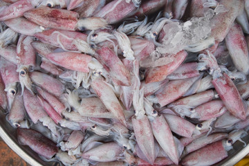 Pile of raw squid in fresh seafood market. Background and texture of fresh squid.
