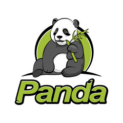 Panda sits and eats bamboo.