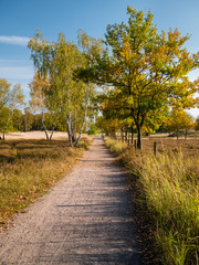 Herbstlicher Sandweg in Heidelandschaft unter blauem Himmel.