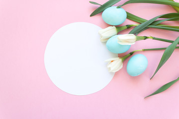 Easter eggs and spring flowers narcissi on pink background