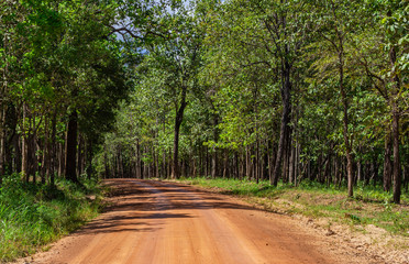 Roads in Huai Kha Khaeng Wildlife Sanctuary, Thailand