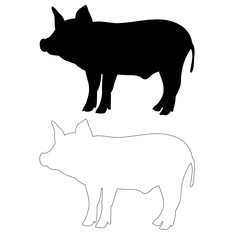 silhouette of a pig, isolated, outline