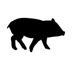 silhouette pig, isolated, pet