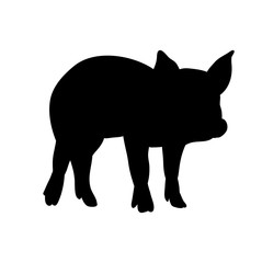 silhouette of the pig, isolated, vector