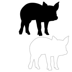 silhouette of a pig, isolated, outline