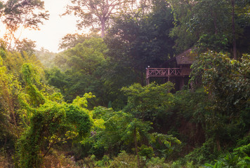 Resort in nature