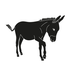 vector, isolated silhouette of a donkey, black