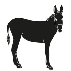 vector, isolated silhouette of a donkey, black