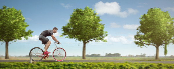 Fahrradfahrer auf einer grünen Landstraße Panorama
