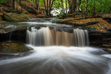 waterfall in forest. Nyrippin Creek, Calicoma Trail, Sydney, Australia.