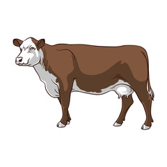 Cow vector clip art. Brown Cow on white background.