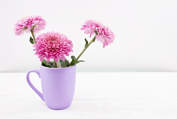 Fototapeta na wymiar Beautiful pink chrysanthemum flowers in a purple cup on a white wooden table against a white background (copy space on the right for your text, minimal concept)