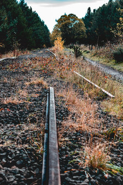 Ashington Woods