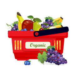 Shopping basket with fresh and organic fruits vector illustration