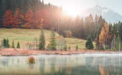 Incredible Misty Landscape. Lake Geroldsee,