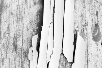 Old black and white shabby background with elements of old white paint on old wooden background with beautiful loft style texture