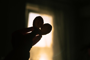 Heart shaped cookie in hand in sunlight from window