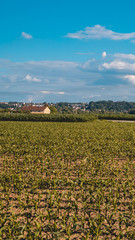 Fototapeta na wymiar Smartphone HD wallpaper of Beautiful view near Walchsing - Vils