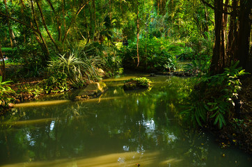 Tropical Plants In Southeast Asian