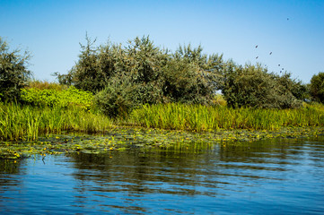 Delta Danube trip - August colors