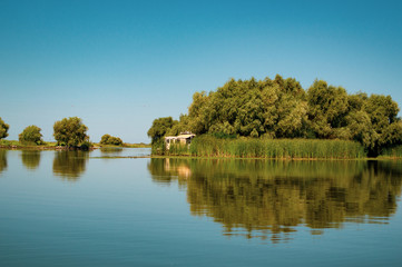 Fototapeta na wymiar Delta Danube trip - August colors
