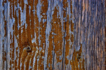 wooden texture background macro