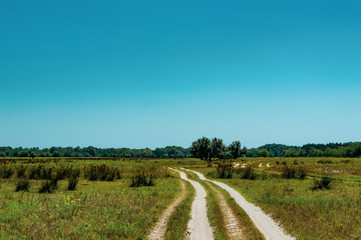 road in the field