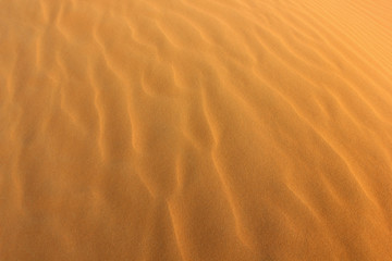 Desert yellow sand, dune and wave outdoor