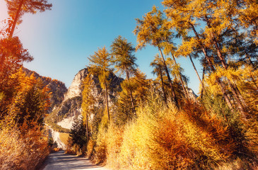 Majestic Autumn Landscape in Alps. idyllic mountain scenery in the Alpine. beautiful sunny day,...