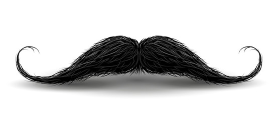 Realistic Vintage Black curly mustache. Vector Illustration isolated on a white background.