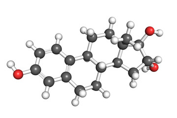 Estriol molecule, ball-and-stick model