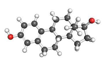 Estradiol molecule, ball-and-stick model