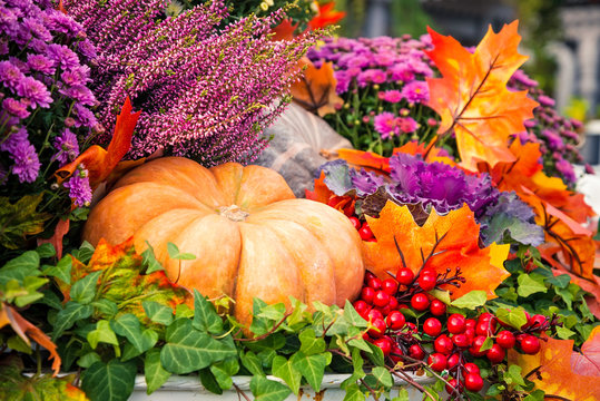 Autumn  composition with pumpkinspkin in various shapes, flowers and plants  on Manege square in Moscow, Russia. Harvest holiday, farm market.  Autumn farm decorations, Background for halloween.  